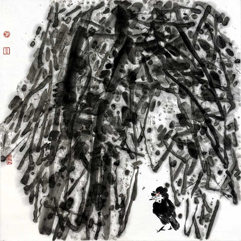 68cmx68cm